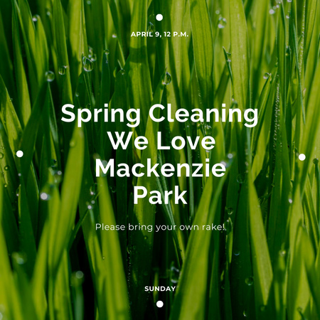 Modèle de visuel Annonce de nettoyage de printemps - Instagram
