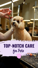 Expert Grooming And Health Care Package Service For Pets