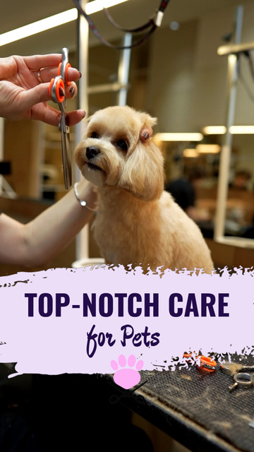 Modèle de visuel Expert Grooming And Health Care Package Service For Pets - TikTok Video