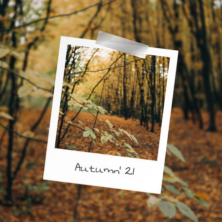 kaunis syksyn metsä Instagram Design Template