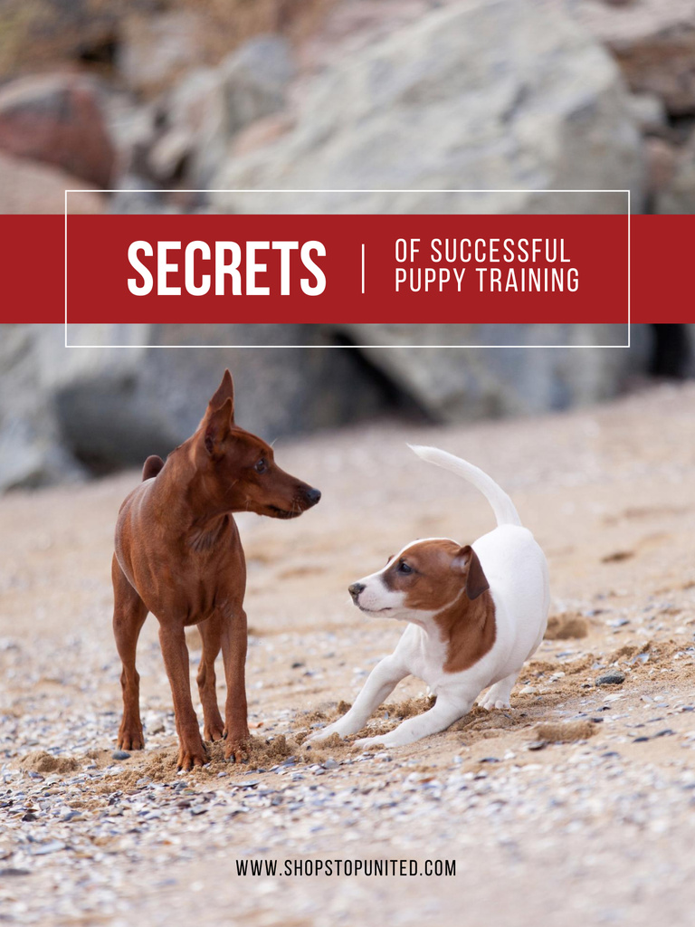 Secrets of Puppy Training Poster USデザインテンプレート