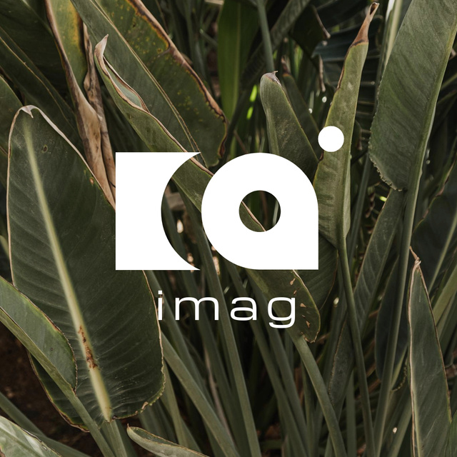 Lush Tropical Leaves Logo – шаблон для дизайну