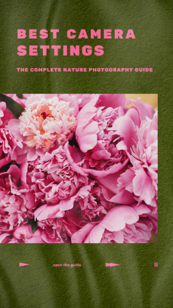 Plantilla de diseño de Photography Tips with Tender Pink Flowers Instagram Story 