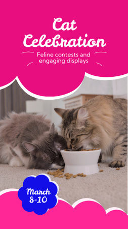 Hauska Fluffy Cat -juhlatapahtuma maaliskuussa Instagram Video Story Design Template
