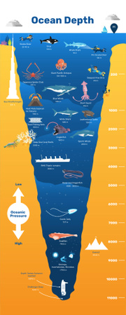 Designvorlage Bildungsinfografiken über die Tiefe des Ozeans für Infographic