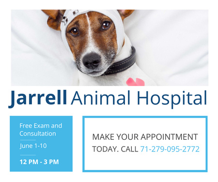 Veterinary Clinic Service Offer with Cute Dog Large Rectangle Design Template