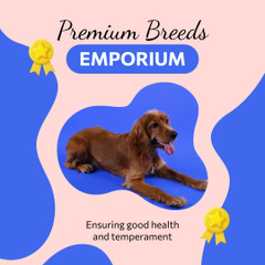 Premium Dog Breeds With Special Price