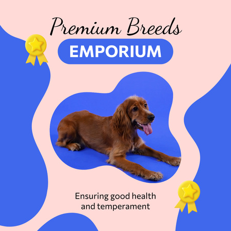 Premium-koirarodut erikoishintaan Animated Post Design Template
