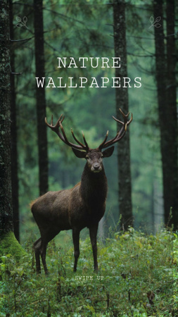 Designvorlage Deer in Green Forest für Instagram Story