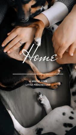 Cute Dogs with their owners Instagram Story Design Template