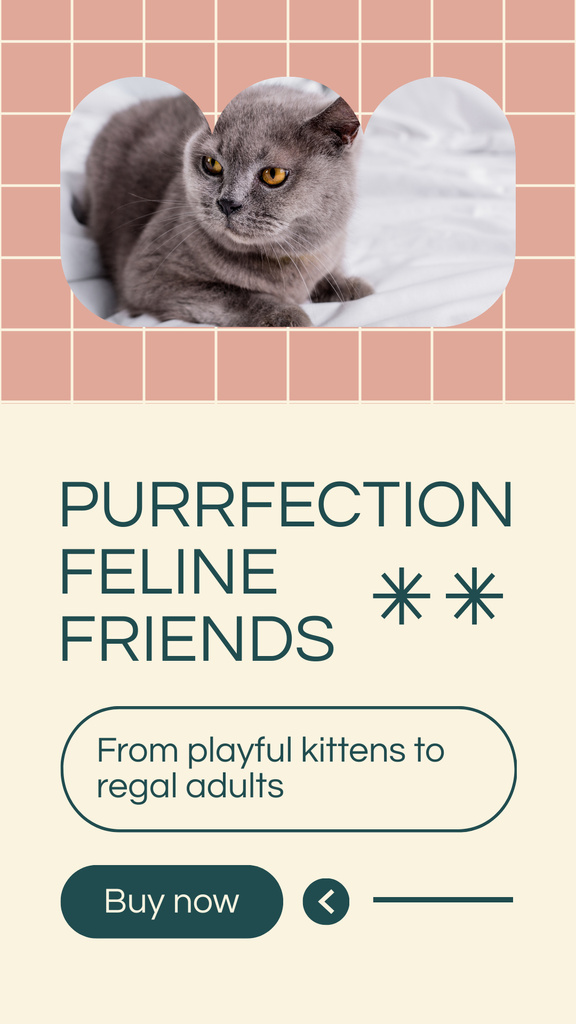 Playful Kittens for Sale Instagram Storyデザインテンプレート