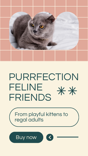 Playful Kittens for Sale Instagram Story Πρότυπο σχεδίασης