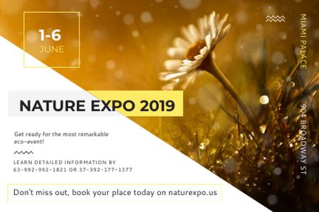 Nature Expo Announcement with Daisy Flower Gift Certificate Modelo de Design