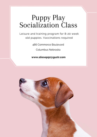 Puppy socialization class with Dog in pink Flyer A6 Design Template