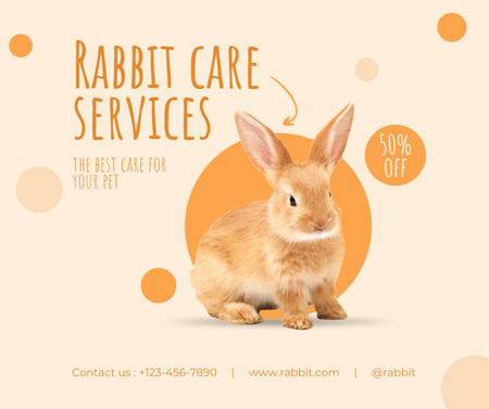 Rabbit Care Offer Facebook Design Template