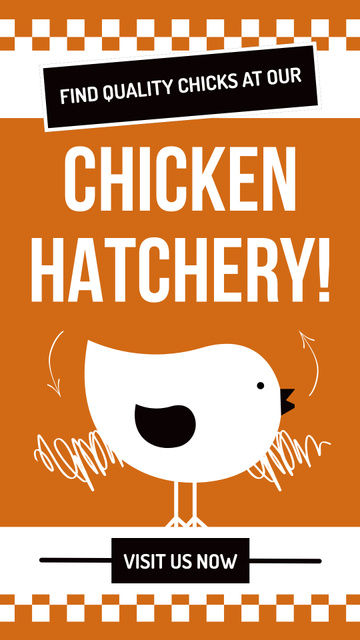 High Quality Chicks from Hatchery Instagram Story Modelo de Design