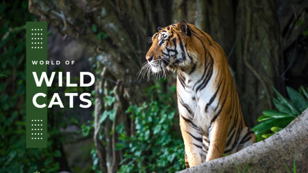 Template di design tigre in fauna selvatica Presentation Wide