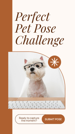Awesome Pet Pose Challenge With Cute Dog Instagram Story Design Template