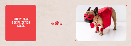 Puppy socialization class with Dog Tumblr Design Template
