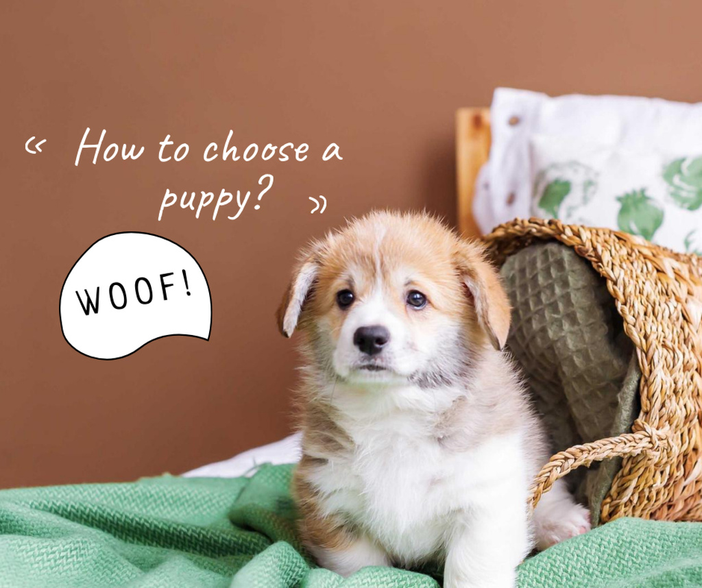 Cute Puppy with Wicker Basket Facebook – шаблон для дизайну