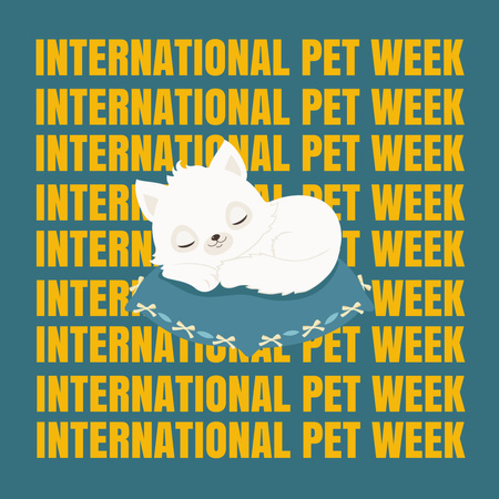 Pet Week with Kitten  Instagram Design Template