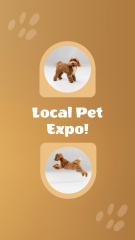 Local Pet Breeders Expo With Purebred Dogs