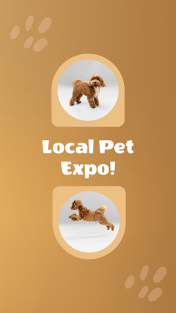 Místní chovatelé zvířat Expo s čistokrevnými psy Instagram Video Story Šablona návrhu