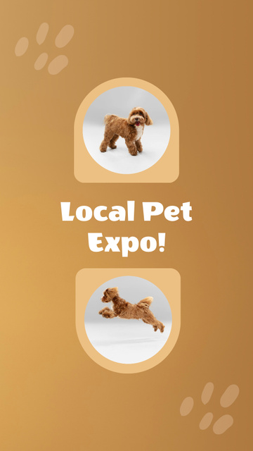 Local Pet Breeders Expo With Purebred Dogs Instagram Video Story Modelo de Design