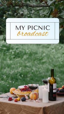 Summer picnic broadcast Instagram Story Design Template