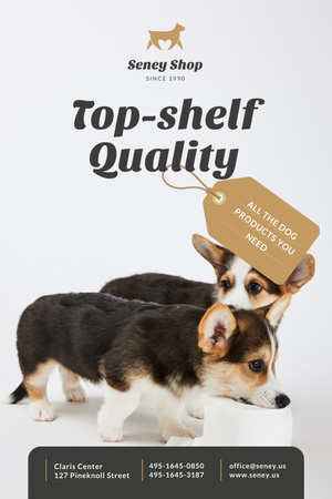 Dog Food Ad with Cute Corgi Puppies Pinterest Design Template