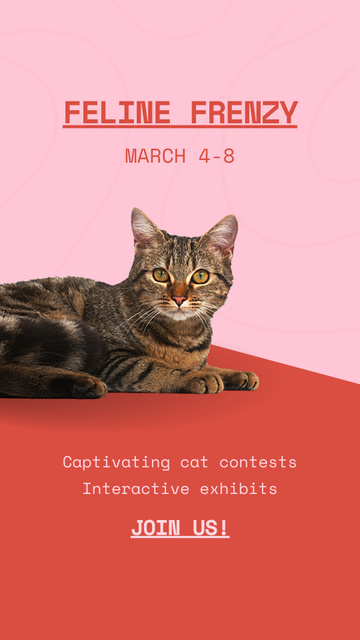 Captivating Contests And Exhibition For Cats Instagram Video Story Modelo de Design