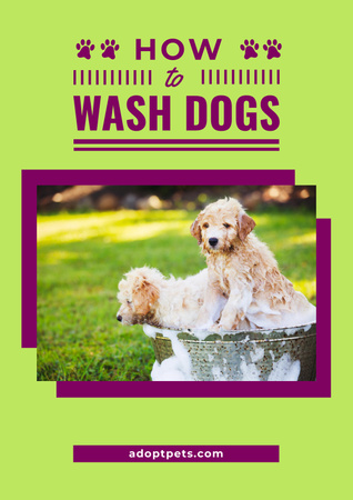 Mycí psí tipy s roztomilými štěňaty v pěně Poster Šablona návrhu