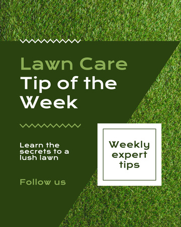 Effective Weekly Lawn Care Tips And Techniques Instagram Post Vertical Design Template
