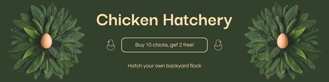 Eggs and Chicks from Local Farm Twitter Design Template