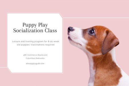 Puppy play socialization class Gift Certificate Design Template
