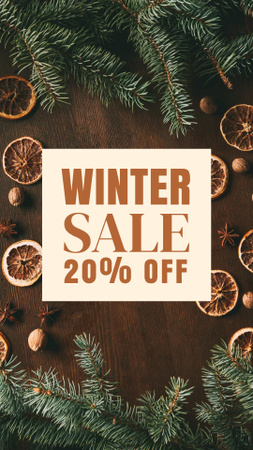 Winter Sale Announcement with Fir Tree Twigs Instagram Story Design Template