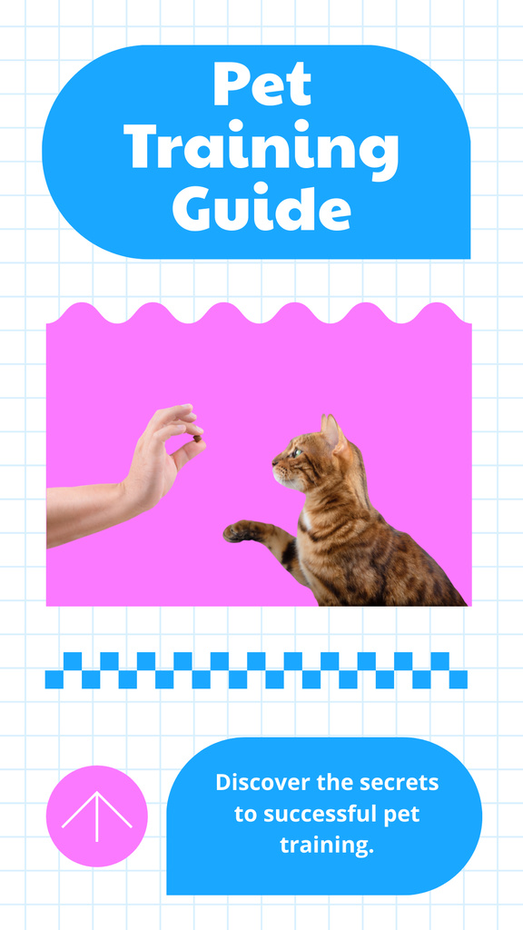 Ontwerpsjabloon van Instagram Story van Essential Pet Training Guide And Tips