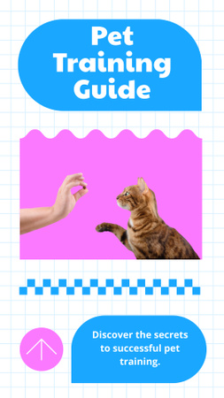 Essential Pet Training Guide And Tips Instagram Story Design Template