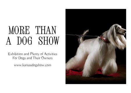 Plantilla de diseño de Anuncio de exposición canina con perro lebrel afgano Flyer A6 Horizontal 