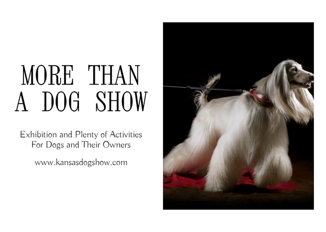 Dog Show Announcement with Afghan Hound Dog Flyer A6 Horizontal Design Template