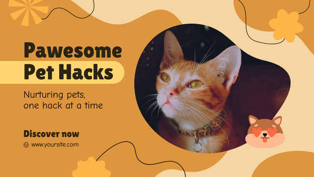 Designvorlage Helpful Pet Nursing Hacks With Ginger Cat für Full HD video