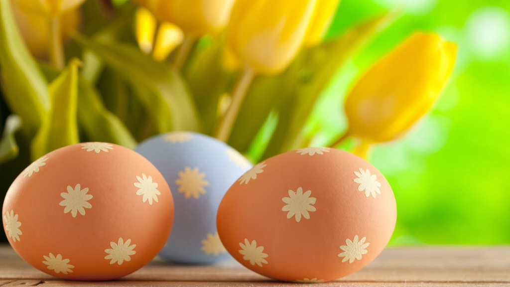 Spring Decor and Easter Eggs Zoom Background Modelo de Design