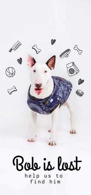 Lost Dog Information with Cute Bull Terrier Flyer DIN Large Šablona návrhu