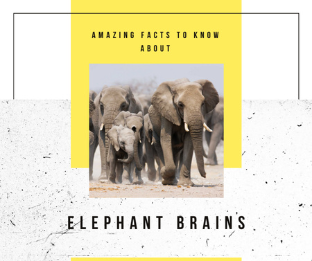 Wild elephants in natural habitat Facebook Design Template
