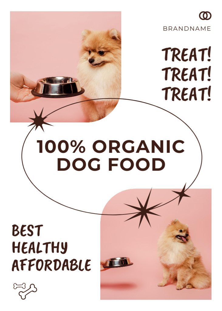 Plantilla de diseño de Pure Organic Dog's Food Flayer 