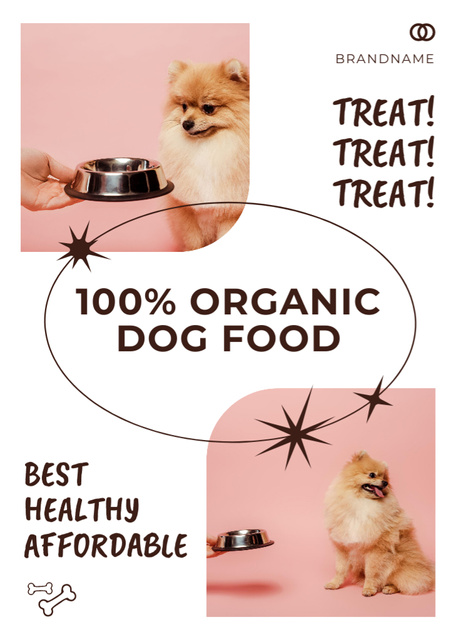 Szablon projektu Pure Organic Dog's Food Flayer