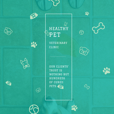 Ontwerpsjabloon van Instagram AD van Healthy pet Veterinary Clinic ad