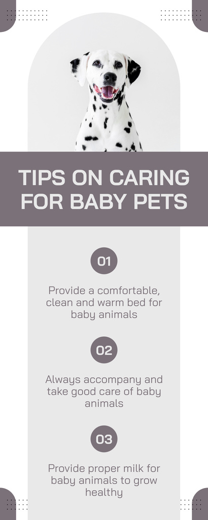 Modèle de visuel Baby Pets Care Tips - Infographic
