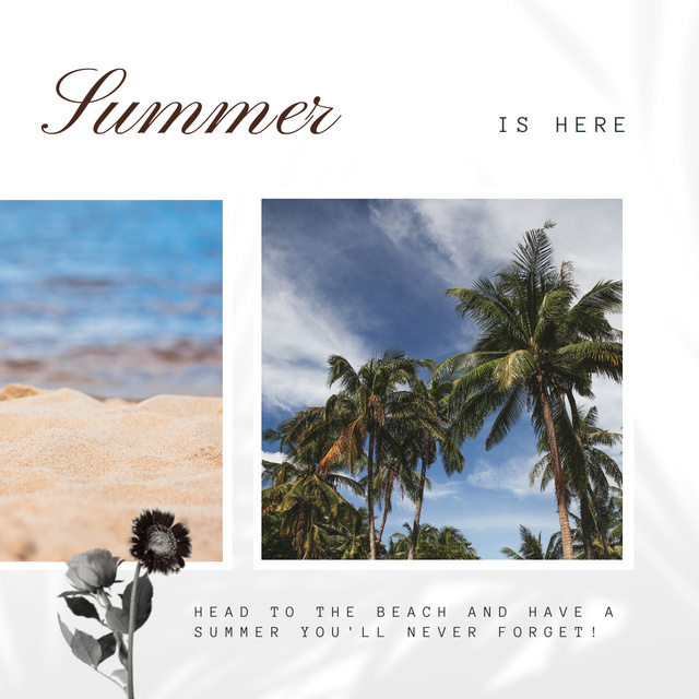 Designvorlage Palm Trees on Tropical Beach für Instagram
