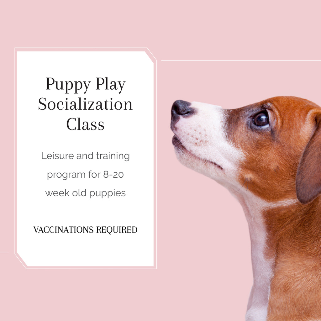 Ontwerpsjabloon van Instagram van Puppy Play Socialization Class